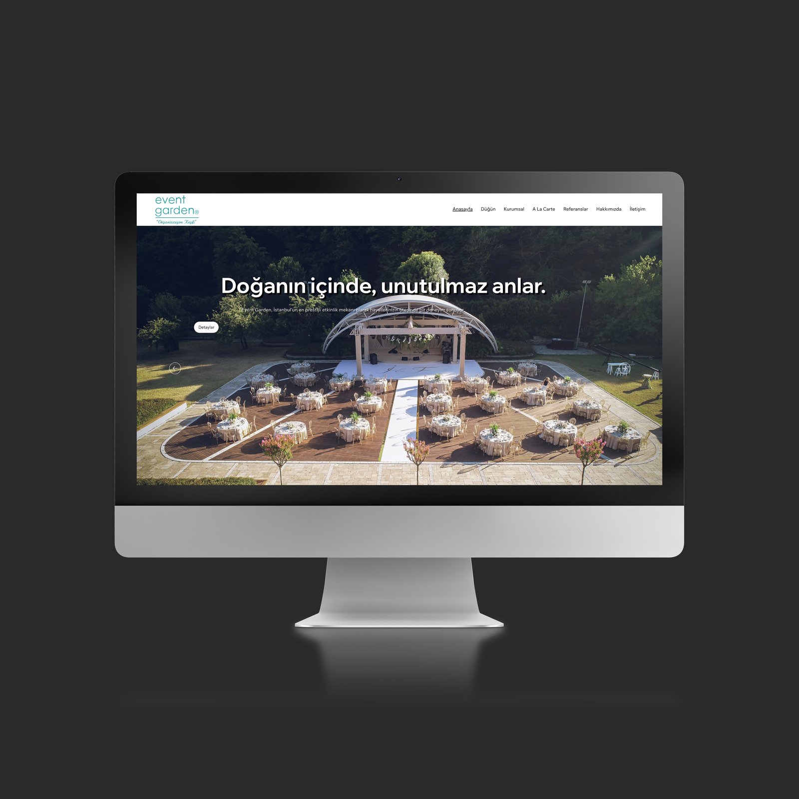 triasnova work